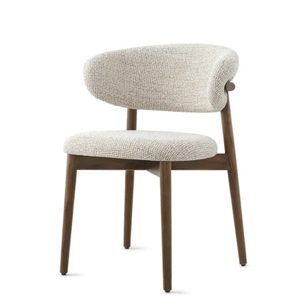 Simple Stylish Nordic Chair for Home & Dining